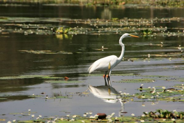 12440603_1228338377195153_9065533614410923524_o