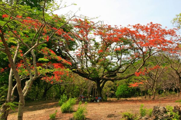 13055253_1258047730890884_8836294177550467720_o