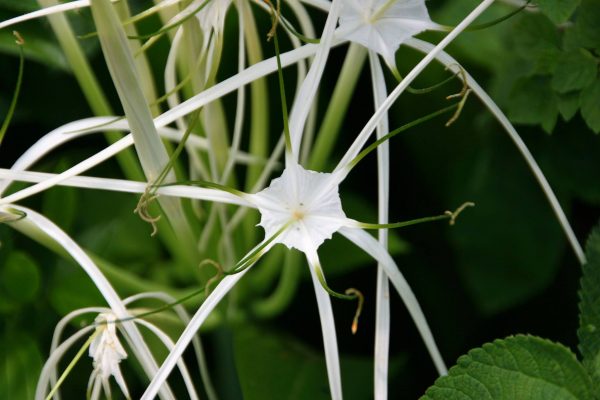 13308413_1280186092010381_16798948866133124_o