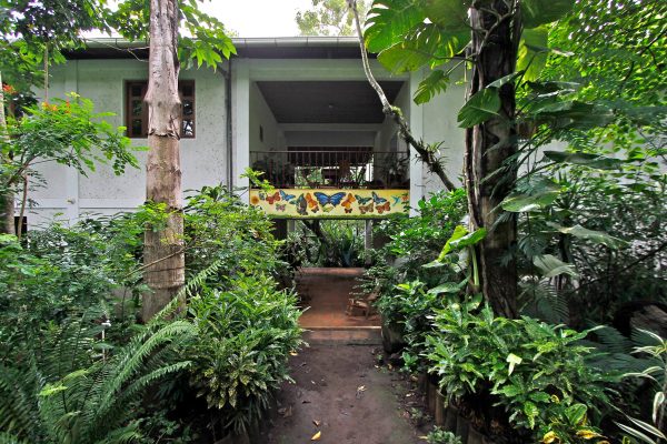 1404769_903423129686681_4127359821778731807_o