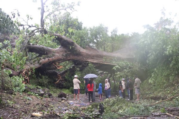 22384397_1793940393968279_4137961013254859156_o