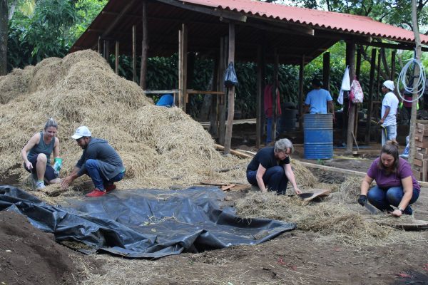 26758124_1894090907286560_6809589350913520526_o