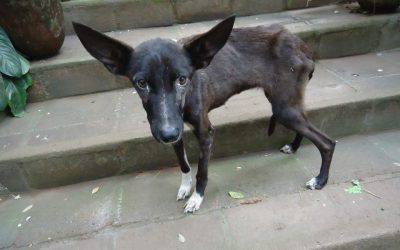 33869816_2048757711819878_2950182751807995904_n (1)