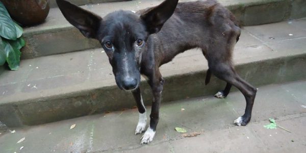 33869816_2048757711819878_2950182751807995904_n (1)