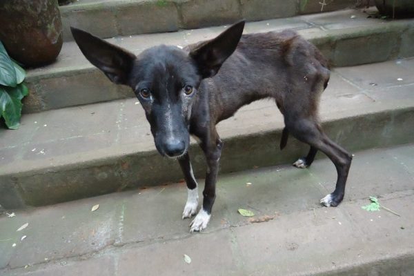 33869816_2048757711819878_2950182751807995904_n (1)