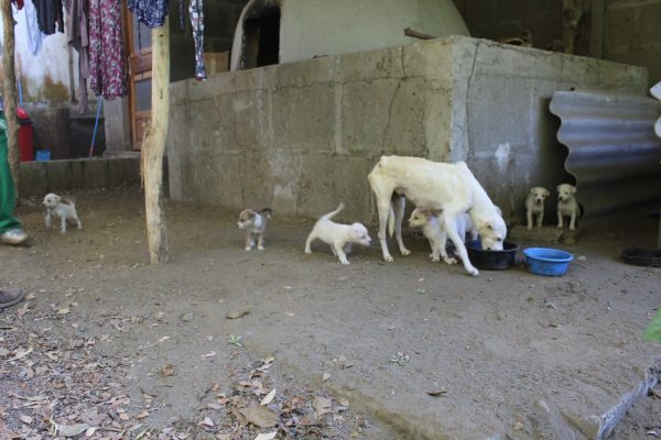 33964162_2048757815153201_5518212061080846336_o