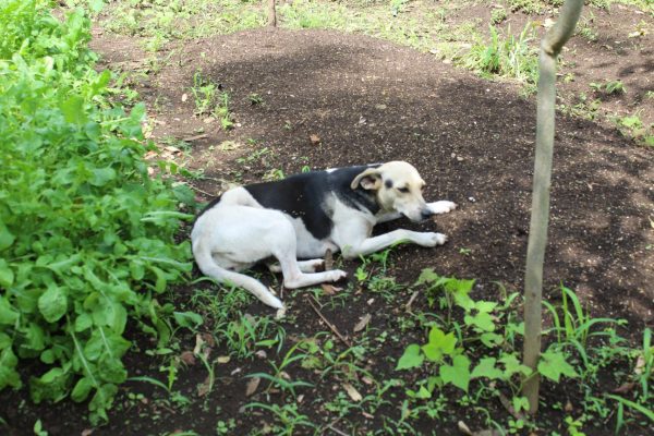 34032627_2048758171819832_3757350395425325056_o