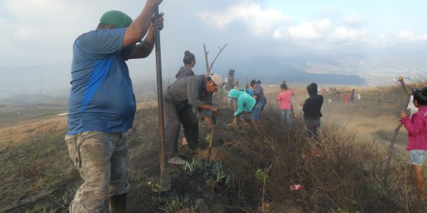 92353660_10157168820480773_4213650413896859648_o