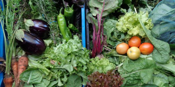 food-veggies-4-1024x768